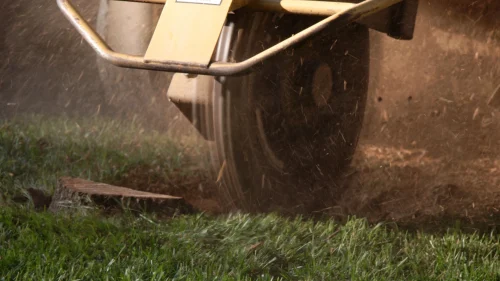 stump grinding slider
